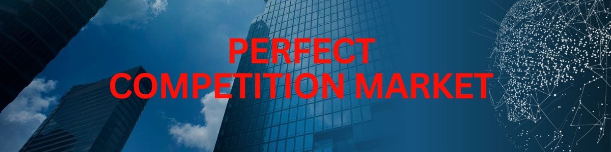 What is Perfect Competition Market?